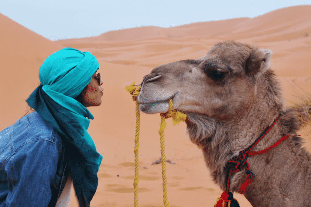 jeune femme faisant un bisou à un chameau