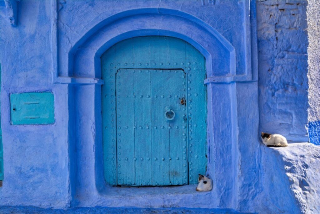 porte et fa´cade bleu d´une maison avec des chats a chefchaouen