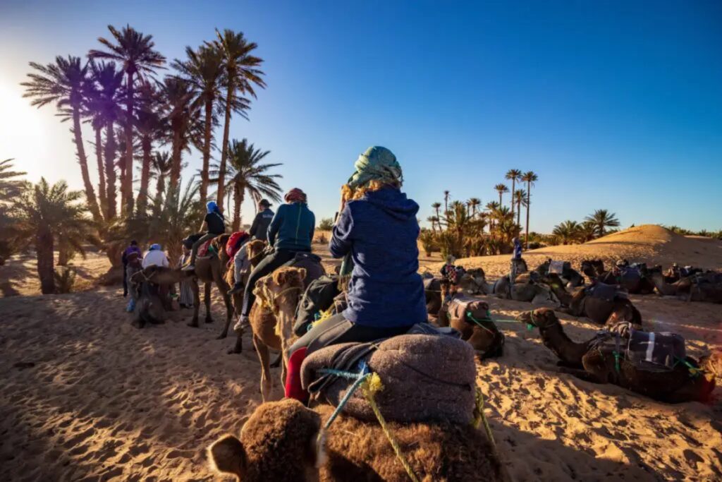 touristes à dos de chameaux dans le desert de zagora au maroc